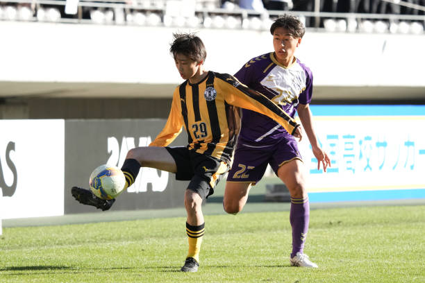 灰熊雖努力 灰熊雖努力