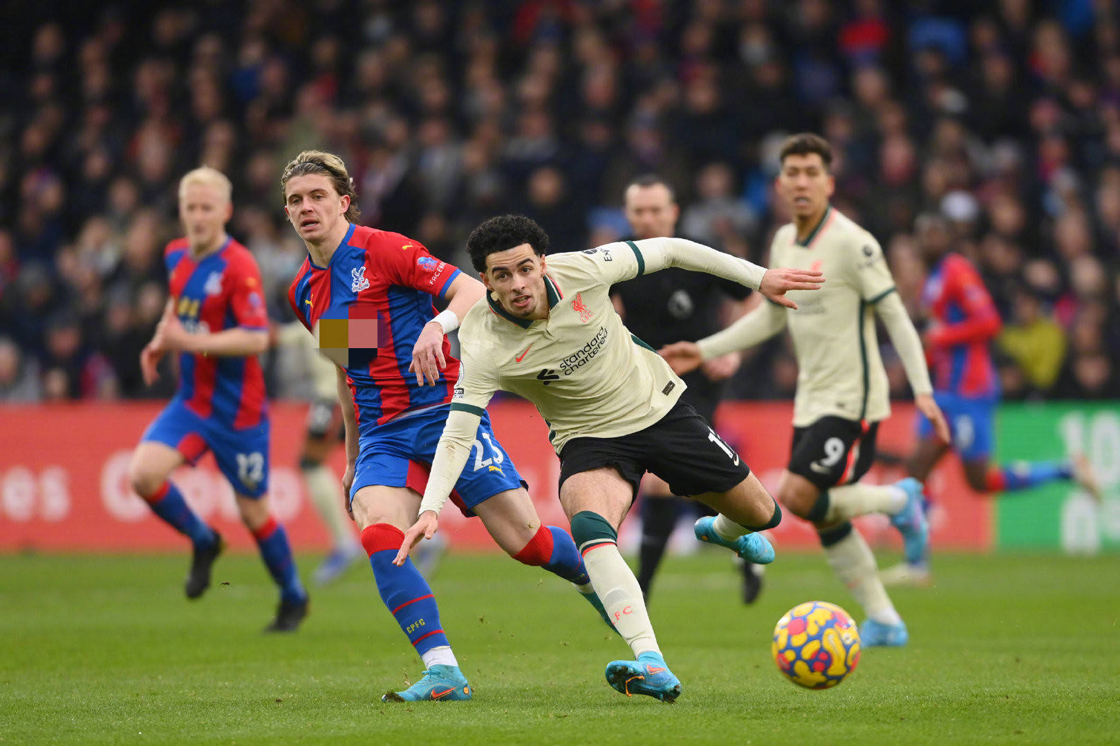 的爆料正逐 的爆料正逐